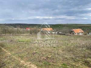 Teren intravilan pentru investitie, 2896 mp, Herneacova Timis - imagine 3