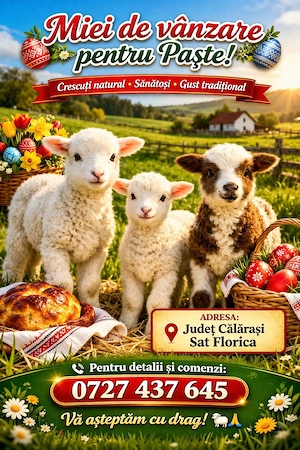 miei pentru Paște  - imagine 2