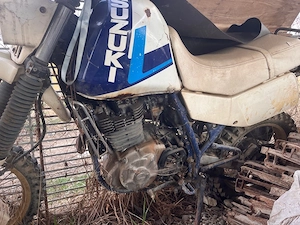 Suzuki DR600 - imagine 2