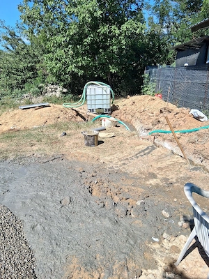 Foraje puturi si Denisipari - imagine 5