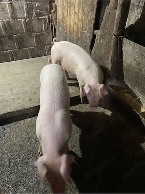 De vânzare - imagine 2