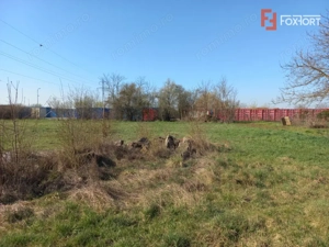 Teren intravilan – oportunitate investiție – zona Centura Timișoarei - imagine 4