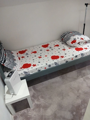 Primesc in gazda ,la vila ,in conditii de 5 stele - imagine 1