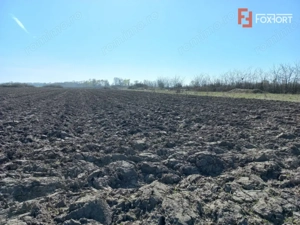 Teren intravilan – oportunitate investitie – Remetea Mare, langa Bega