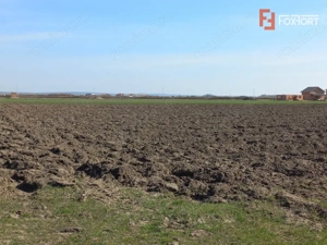 Teren intravilan – oportunitate investitie – Remetea Mare, langa Bega - imagine 2