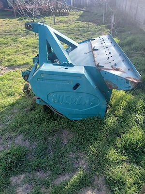 tocatoare paiose - imagine 3