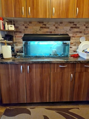 vand acvariu 100L - imagine 2