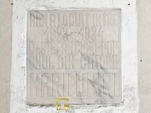 Castel istoric de vânzare în Conop | proprietatea lui Cicio Pop - imagine 12