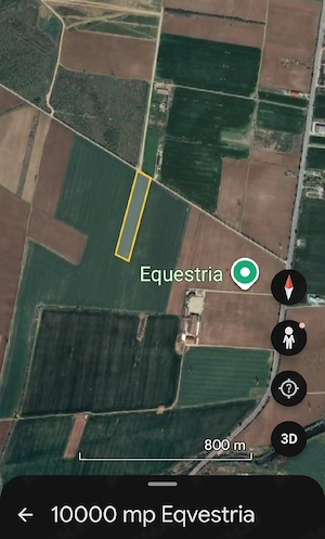 Teren intravilan 10000 mp  Snagov  - imagine 2