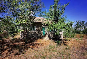 Casa batraneasca cu teren 3000 mp - imagine 4