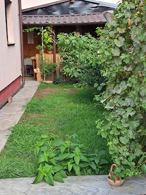 Vila bragadiru zona linistita  - imagine 2