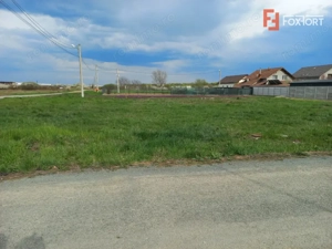 Teren intravilan – oportunitate investitie – Ghiroda - imagine 3