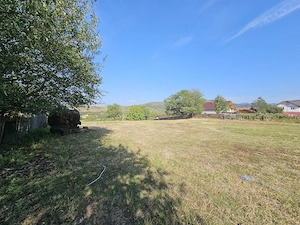 Teren, Central, Baia de Fier, Gorj - imagine 3