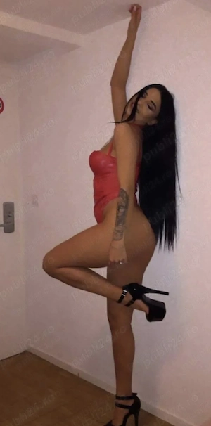 noua în oraș nu ve regreta alegerea 