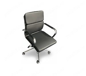 Scaun meeting Prince