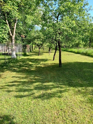 Ultracentral! Casă cu Teren generos,  zona PENNY, Săcele - Brașov - imagine 10