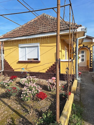 Casa de vanzare in Turulung 