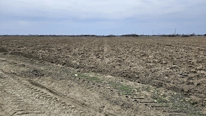 Teren de luncă - Leordeni Arges - imagine 6