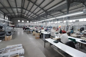 Platformă comercial–industrială cu venit activ || Macin - Tulcea - imagine 5