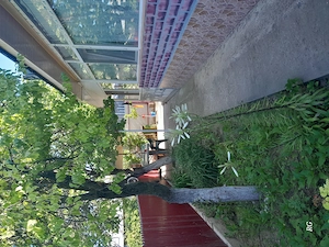 Casa de vanzare sat Vlascuta, județul Galați 