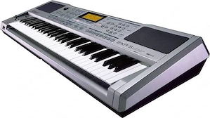 Roland EXR-5   Orga profesională cu acompaniament, 61 clape, + stand,  și alimentator original