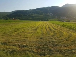 Vanzare Teren Intravilan 4400 mp CETATE Stadion, D+P+4 la asfalt toate utilitati - imagine 5