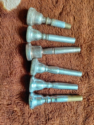 Mustiucuri trompetă