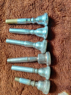 Mustiucuri trompetă - imagine 3