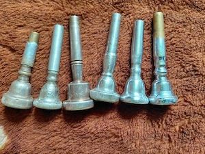 Mustiucuri trompetă - imagine 2