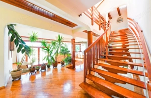 Vila/Proprietate Speciala, 500mp utili, 3300mp teren, Sangeorgiu de Ms