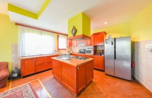 Vila/Proprietate Speciala, 500mp utili, 3300mp teren, Sangeorgiu de Ms - imagine 3