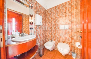 Vila/Proprietate Speciala, 500mp utili, 3300mp teren, Sangeorgiu de Ms - imagine 10