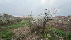 Teren intravilan generos de vânzare în Recaș - imagine 9