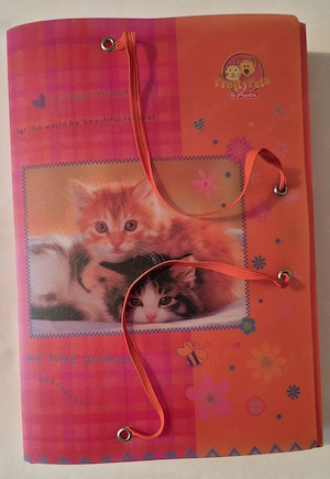 Mapa a4 Herlitz Germania 