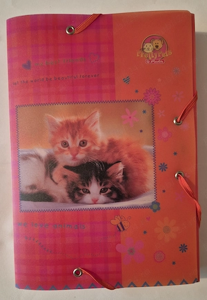 Mapa a4 Herlitz Germania  - imagine 4