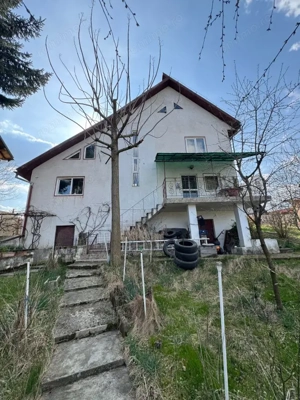 Casă P+1 Coltău, 120 mp utili, 33.5 ari, garaj, mobilată - imagine 2