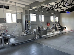 Linie pentru procesarea cartofilor și producerea cartofilor pai - imagine 5