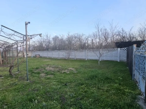Casa parter, 100 mp utili, 1090 mp teren,  Pielesti  - imagine 14