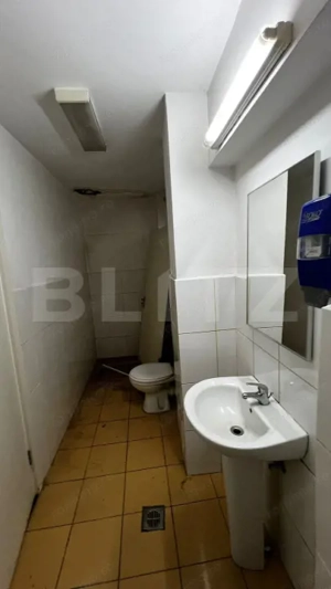 Spațiu comercial de închiriat, 150 mp utili, 500 mp teren, zona Central - imagine 12