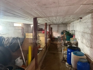 Spațiu comercial de închiriat, 98 mp – Drăgușeni - imagine 7