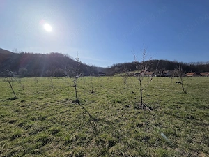 Teren intravilan com. Petris - imagine 6