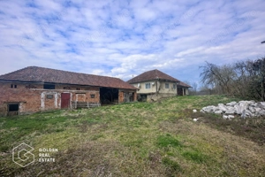 Casă cu teren generos 1.944 mp, Măgulicea, Vârfurile - imagine 2