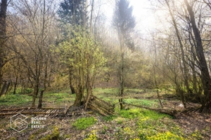 Casă cu teren generos 1.944 mp, Măgulicea, Vârfurile - imagine 17