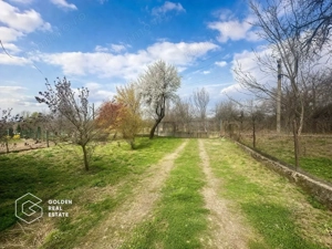 Casă cu teren generos 1.944 mp, Măgulicea, Vârfurile - imagine 14