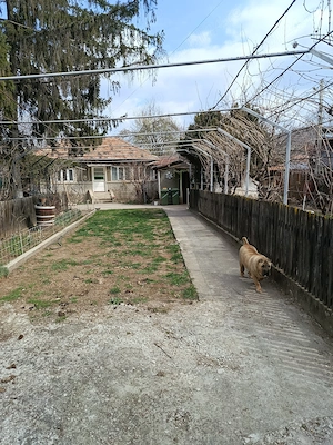 Vand casa batraneasca - imagine 2