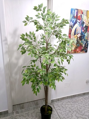 Copac decorativ artificial   175 cm