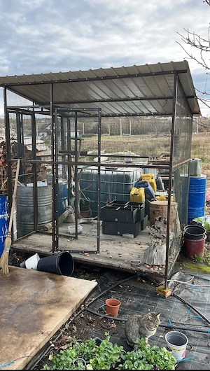 vand voliera mare 1800 lei  - imagine 2