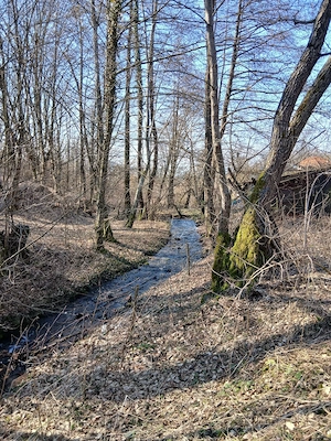 Casă și teren în Munții Apuseni la 18 km de municipiul Deva - imagine 9