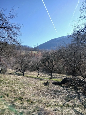 Casă și teren în Munții Apuseni la 18 km de municipiul Deva - imagine 10