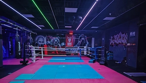 Vând ring pretabil pentru kickbox box